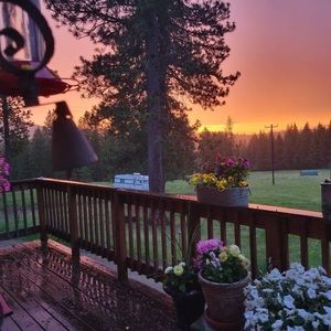 Meet your Posher, Norma